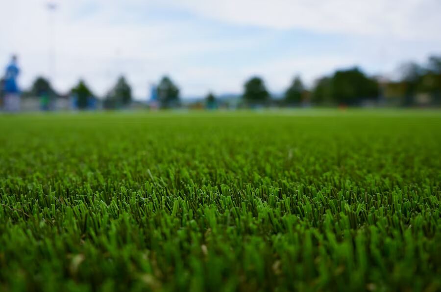 A wide perspective of a beautiful new lawn in a Wellington garden.