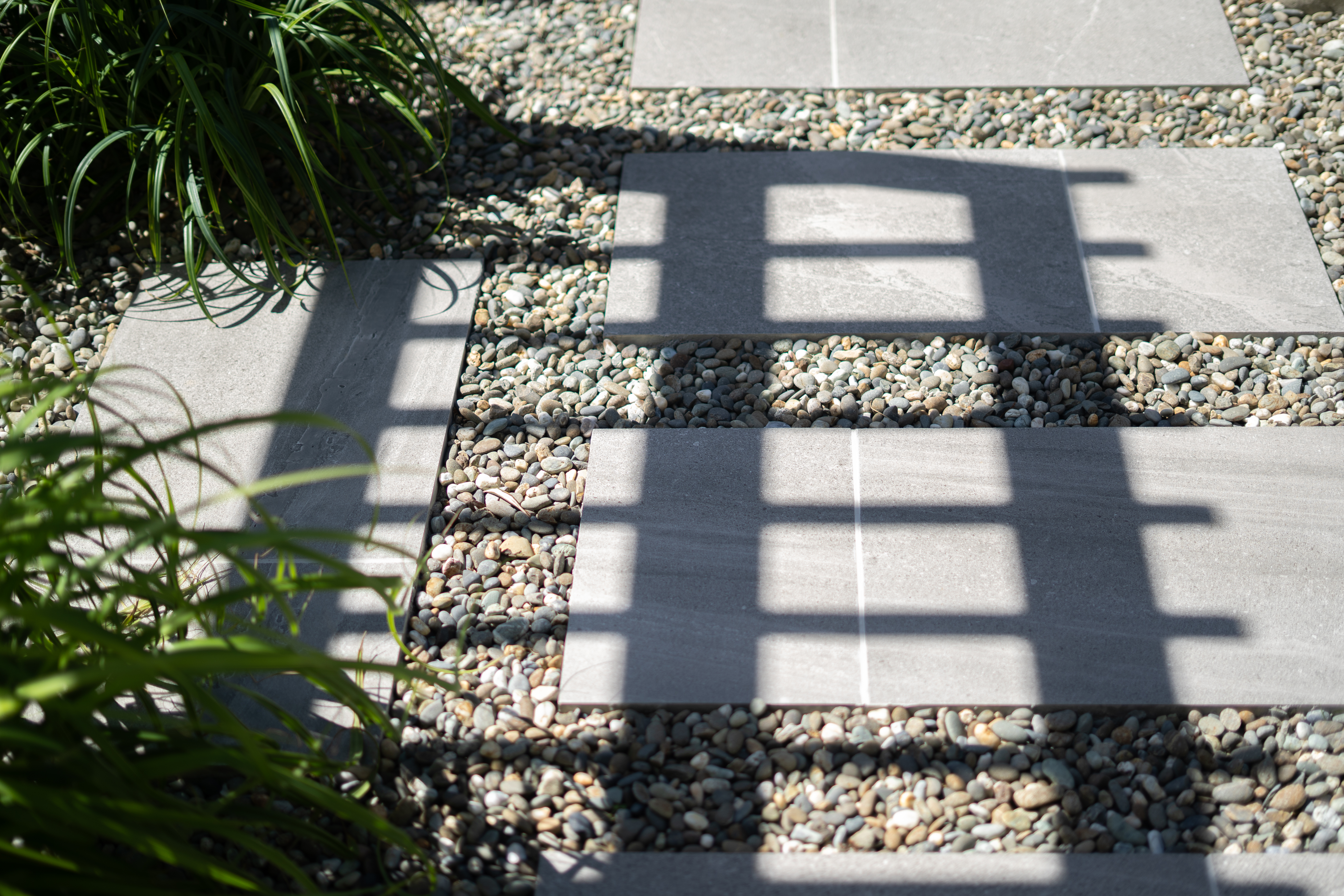 Vertical garden element in the courtyard.