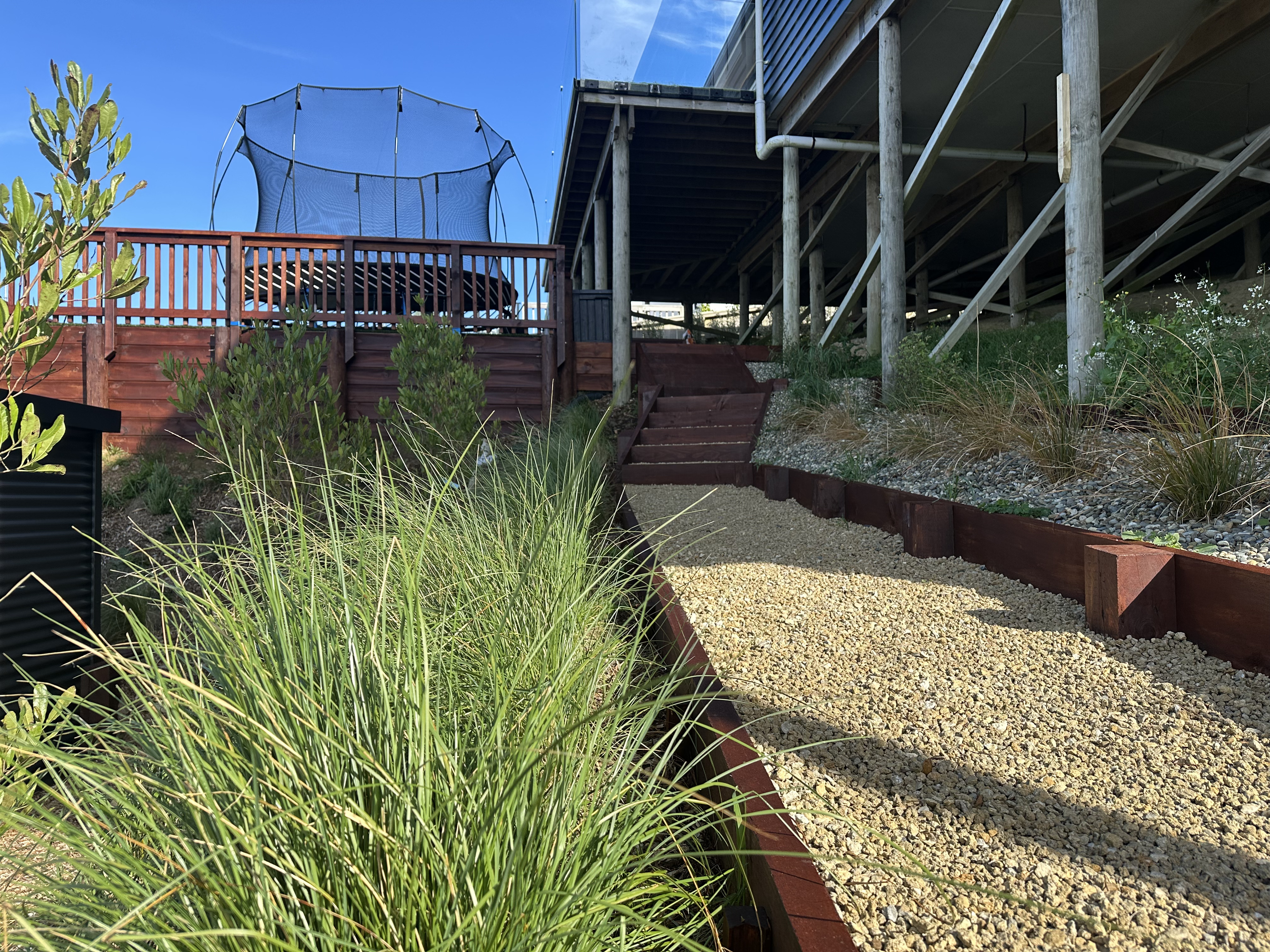 Garden with native planting