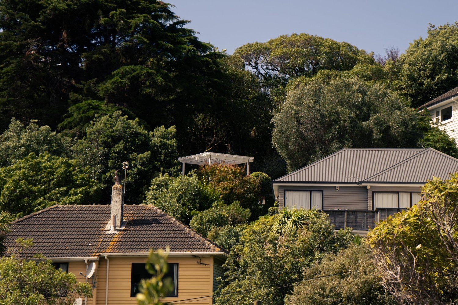 Project 5 Image 7 - Detail shot of white pergola