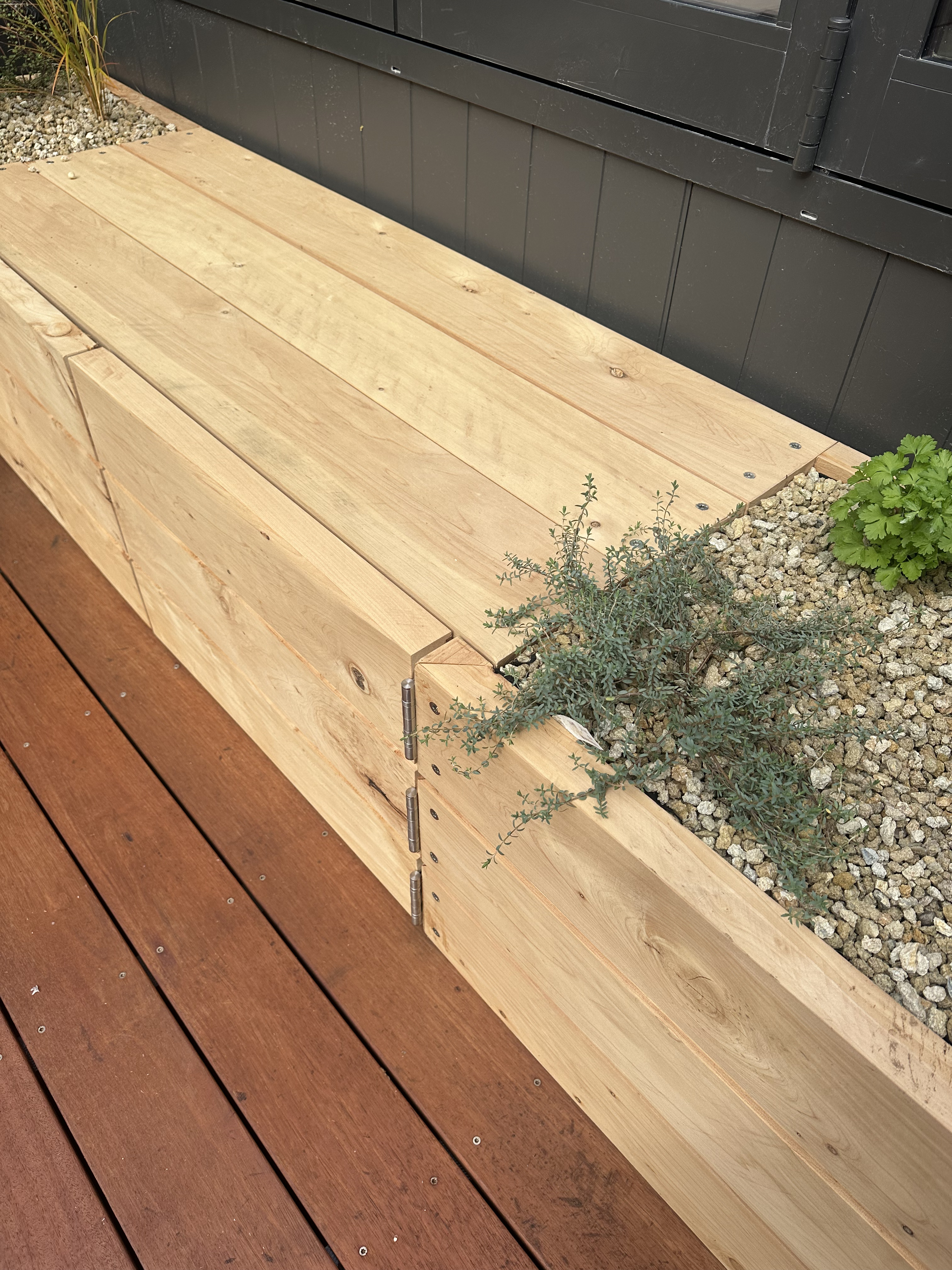 Tall plants against a modern wall
