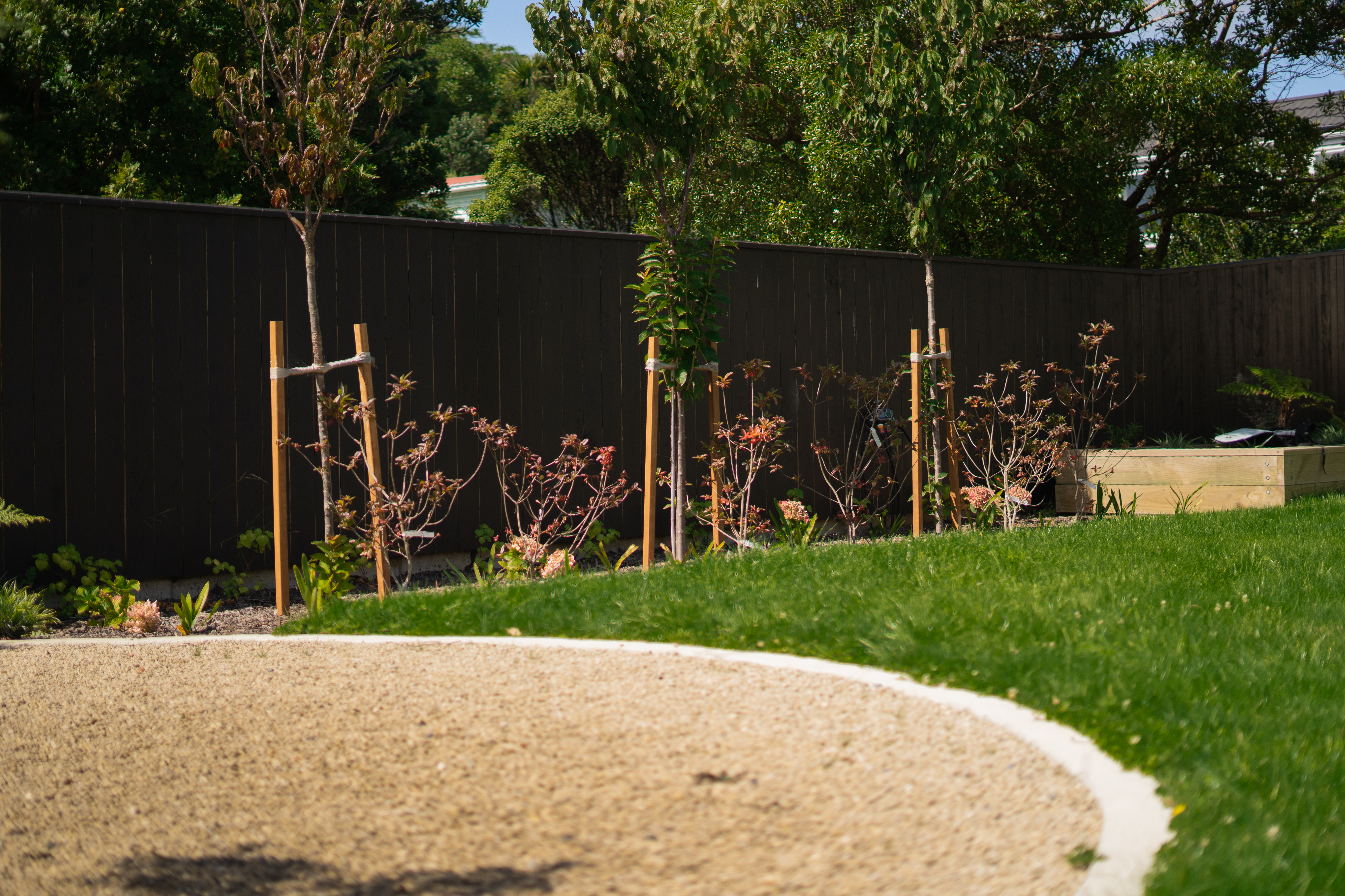 Neatly arranged vegetable garden with various plants