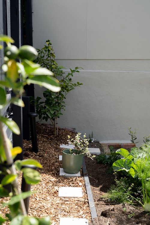 Tall view of an outdoor lighting fixture against a wall