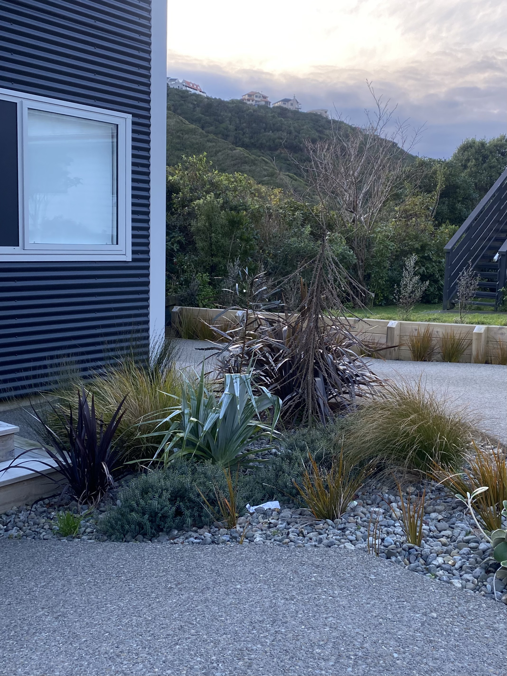 A diverse mix of lush green foliage and plants in a Wellington garden.